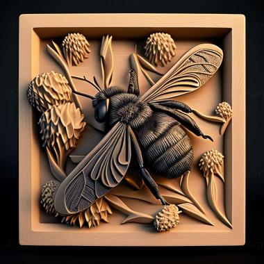 3D модель Bombus angustus (STL)